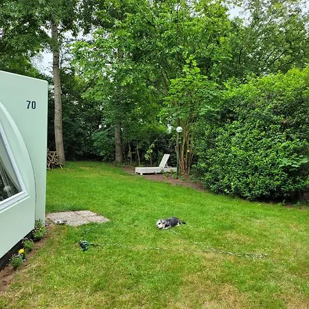 Holiday home Iglo De Groene Oase